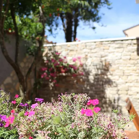 Apartman Sole *