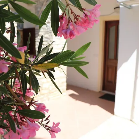 Sole 公寓 波雷奇